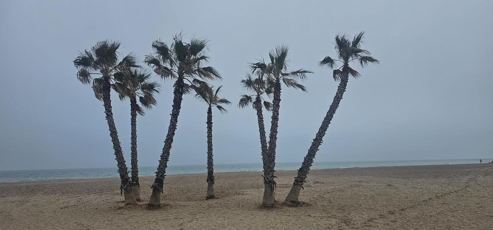 Apartamento Con Piscina Y Cerca De La Playa Canet d'En Berenguer Екстер'єр фото